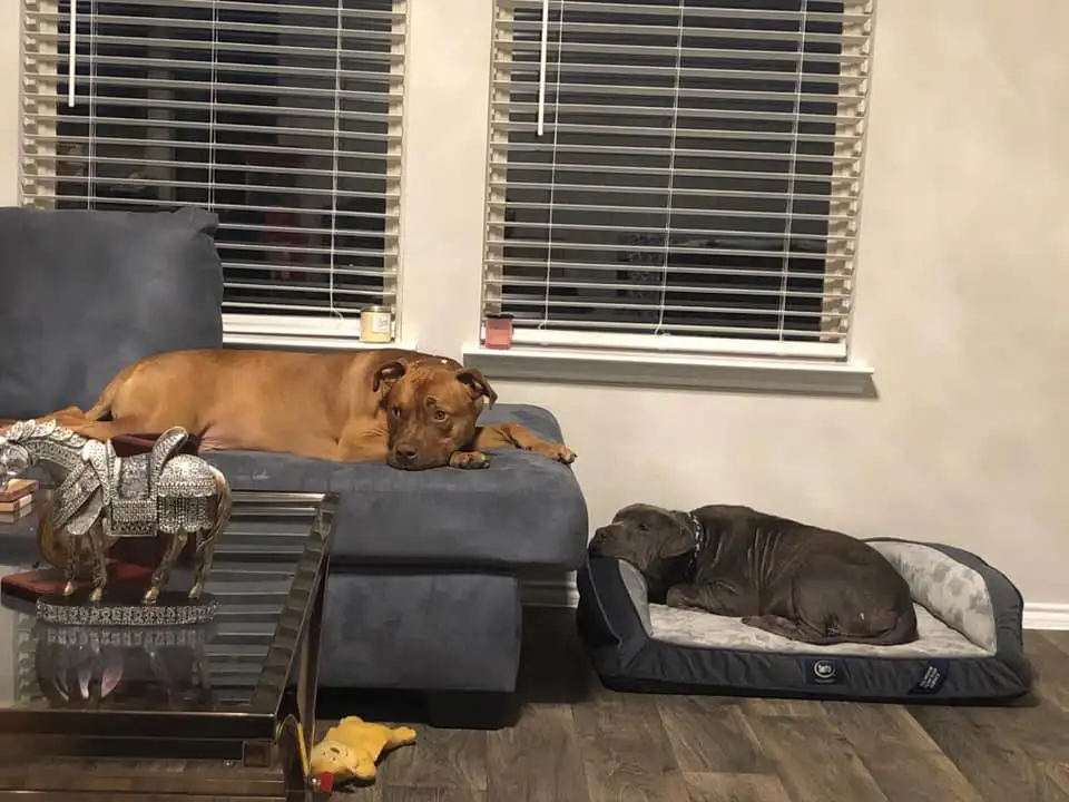 108158171 3720893391258865 2182563813268539409 n