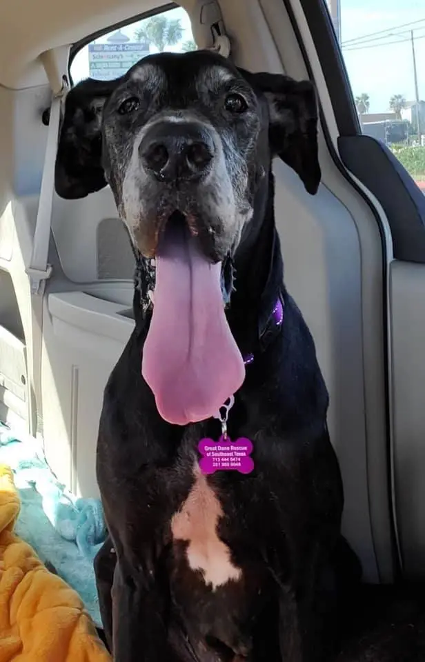 129248165 10159191214614060 2207116357916596599 n