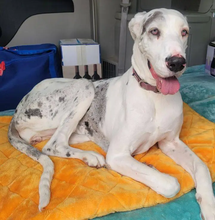 129280364 10159191214624060 6115691036167436670 n