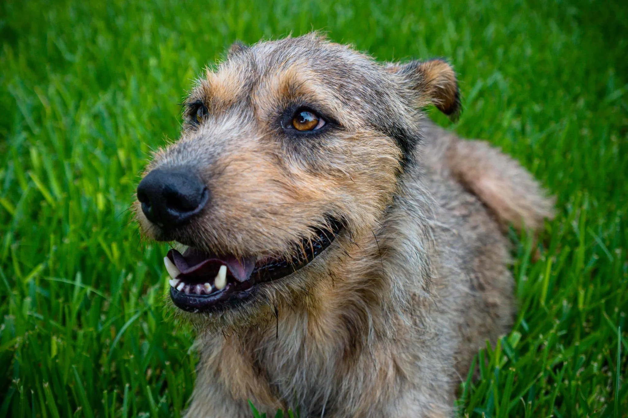 135671913 227105738871876 3776996884696814558 n