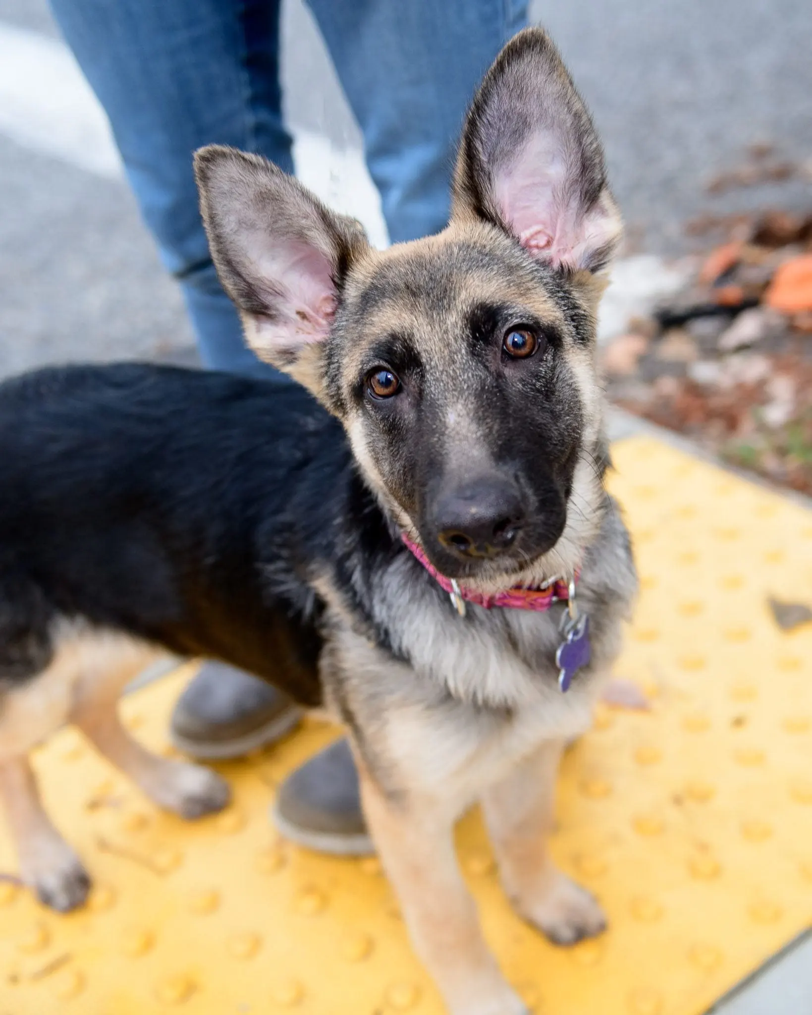 140347776 1868353166649463 1168570552033927977 o