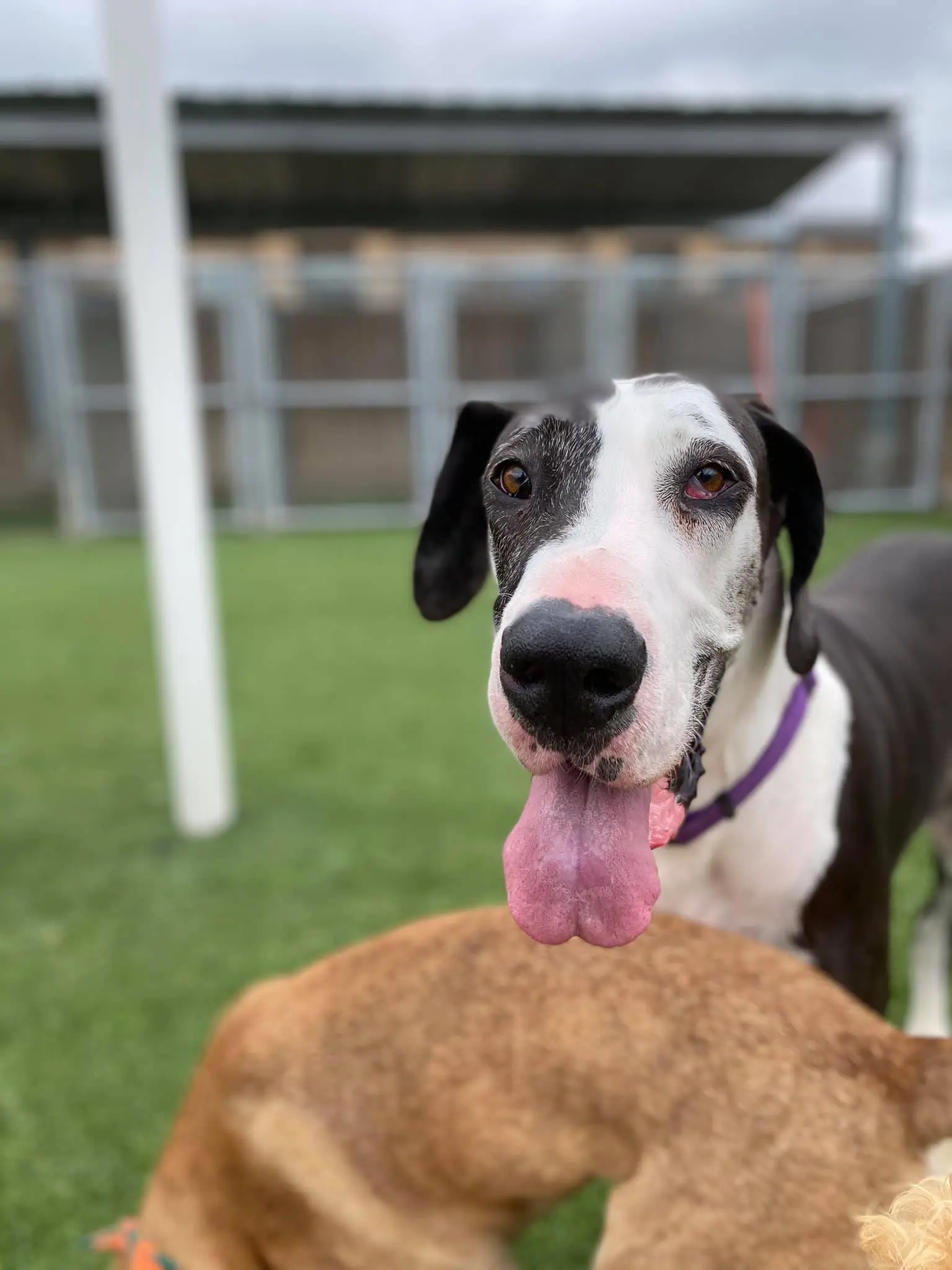 153122094 3966580683362141 7912300093159192064 n