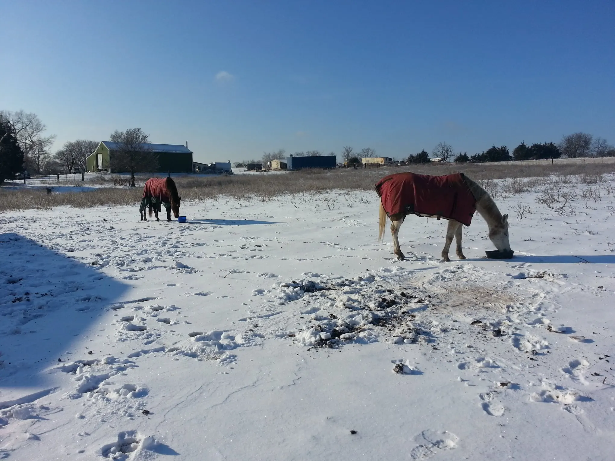 153663935 10165094608595551 6245861578489541323 n