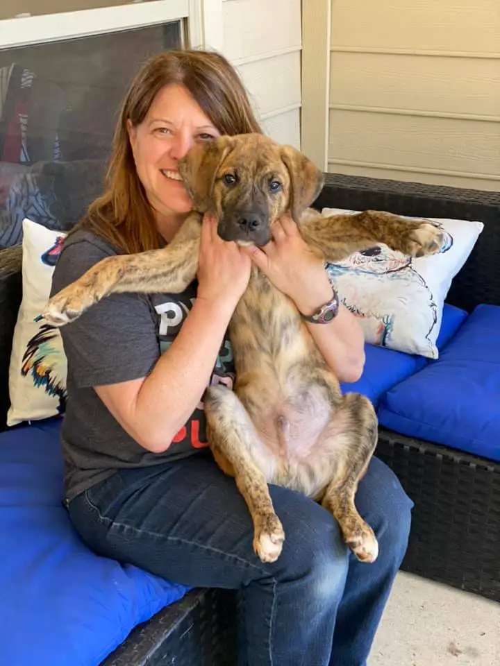 154237266 4281483355214983 3997945677259632731 n