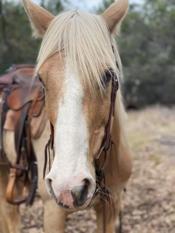 166342251 141102327930656 5923731849904987267 n