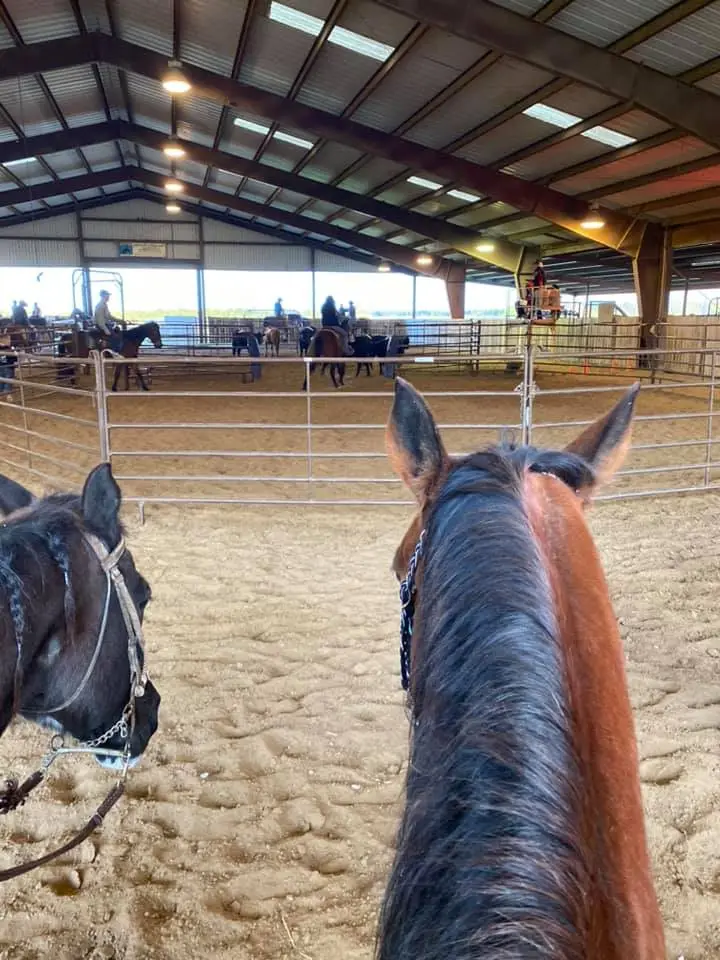 168404280 143766527672565 398019378328630735 n