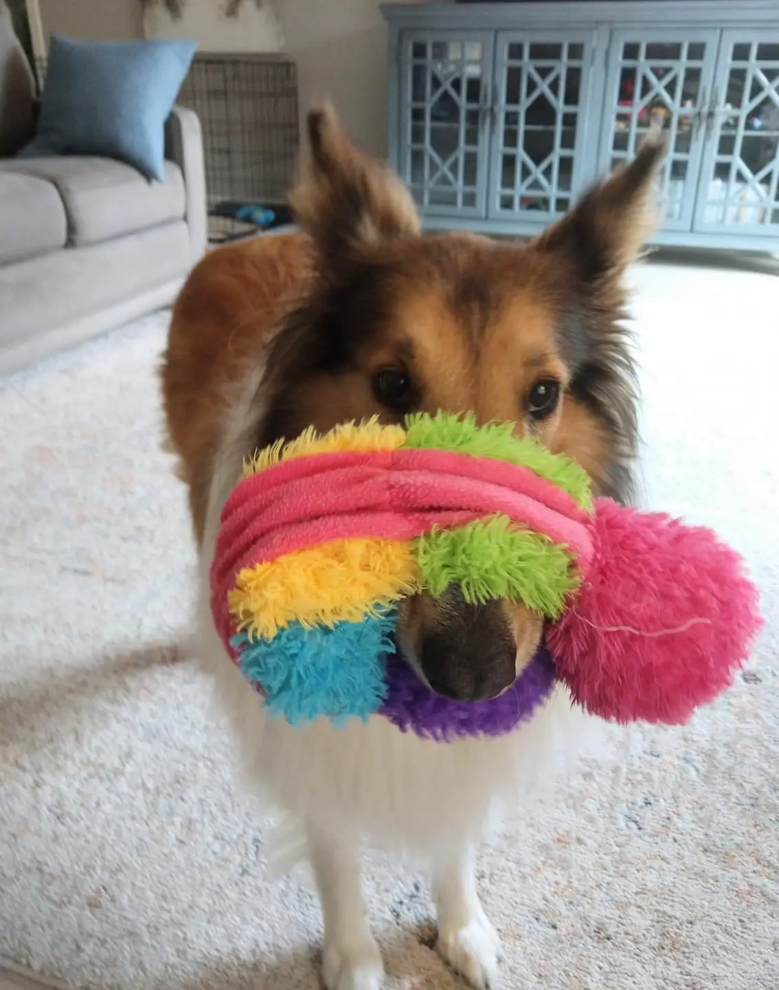 170239733 1711757972360066 3153232973935867250 n