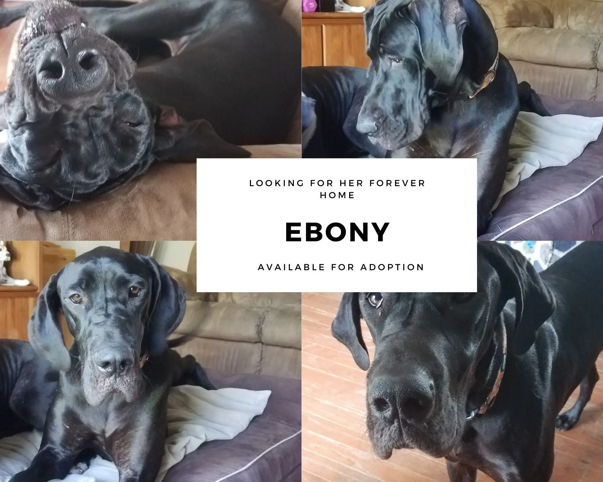 175875714 10159568834864060 6440984099471242634 n