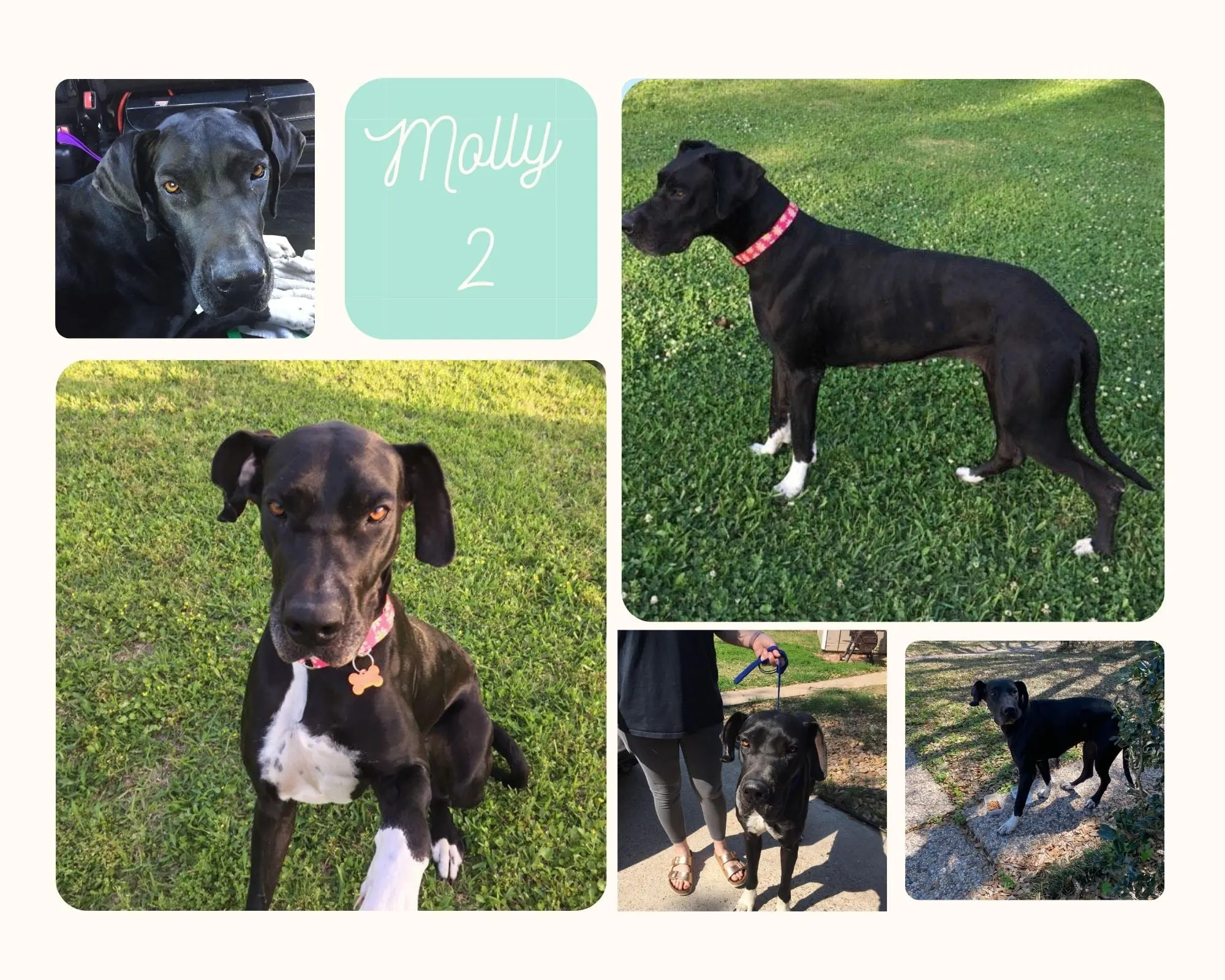 178103745 10159569010989060 5461627735535710185 n