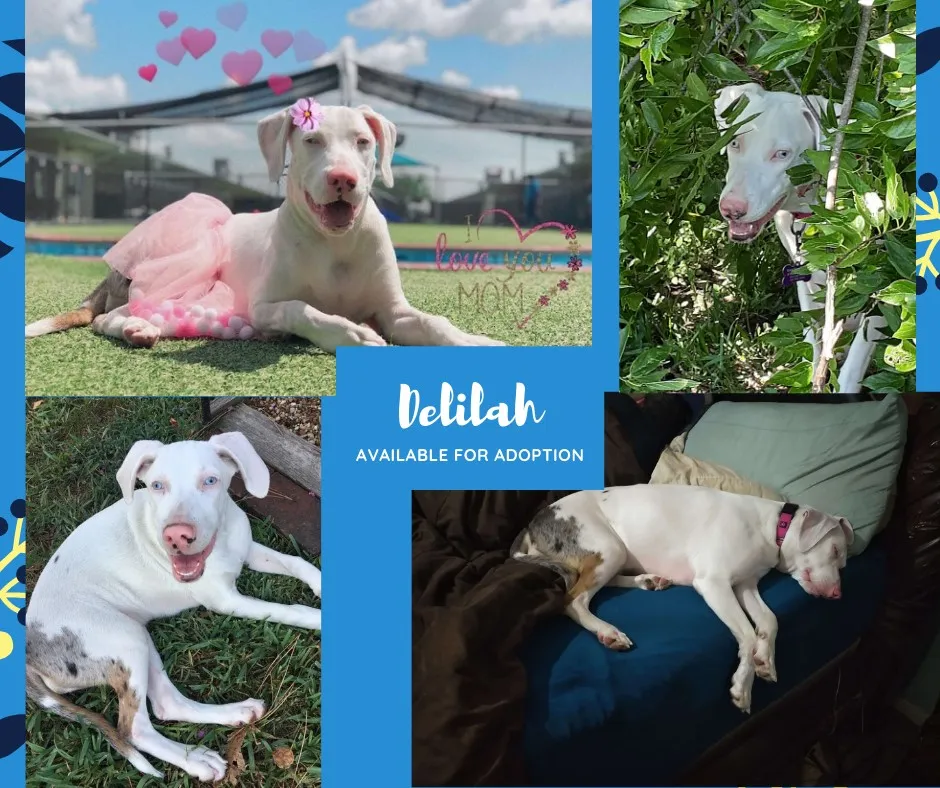 178716623 10159572296154060 2229777592146139972 n