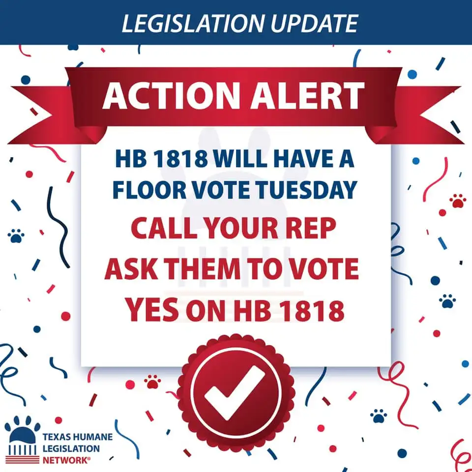 178775886 4576396645708531 8501549738041794926 n