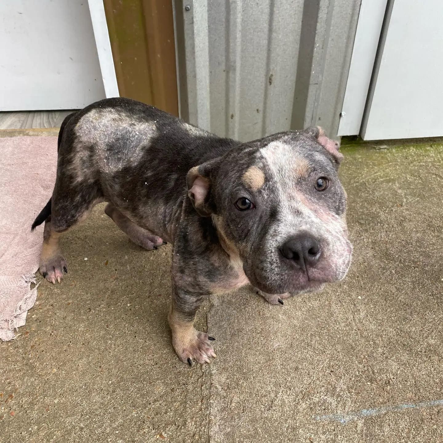 185739418 2906425856269737 4691135776880360604 n (1) (1)