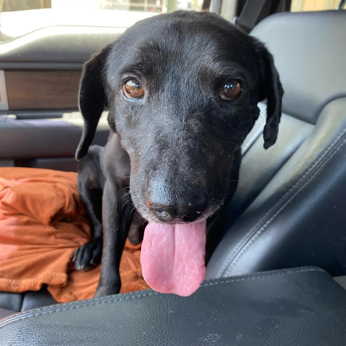 186472462 2902687639976892 2160316260618510443 n