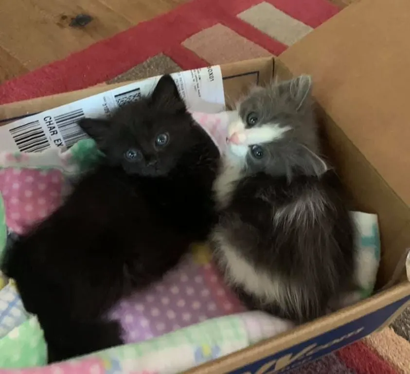 186549918 3857030017741755 6784636447467942069 n