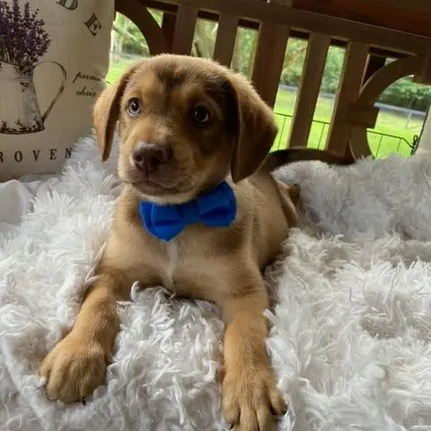 190746243 2918592668386389 6409275233009671656 n