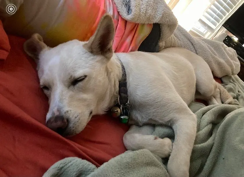 191853078 1002414173626454 4171258766925517358 n