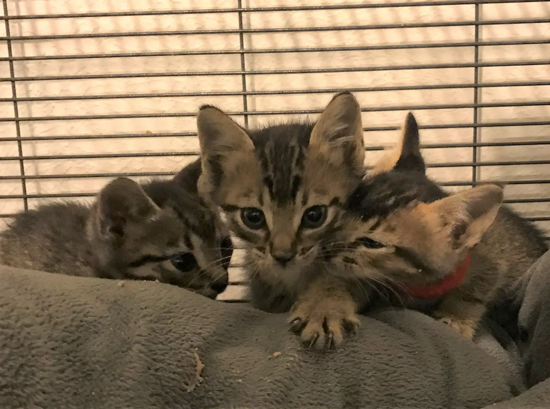 192587260 3911000295678060 3586827939258369993 n