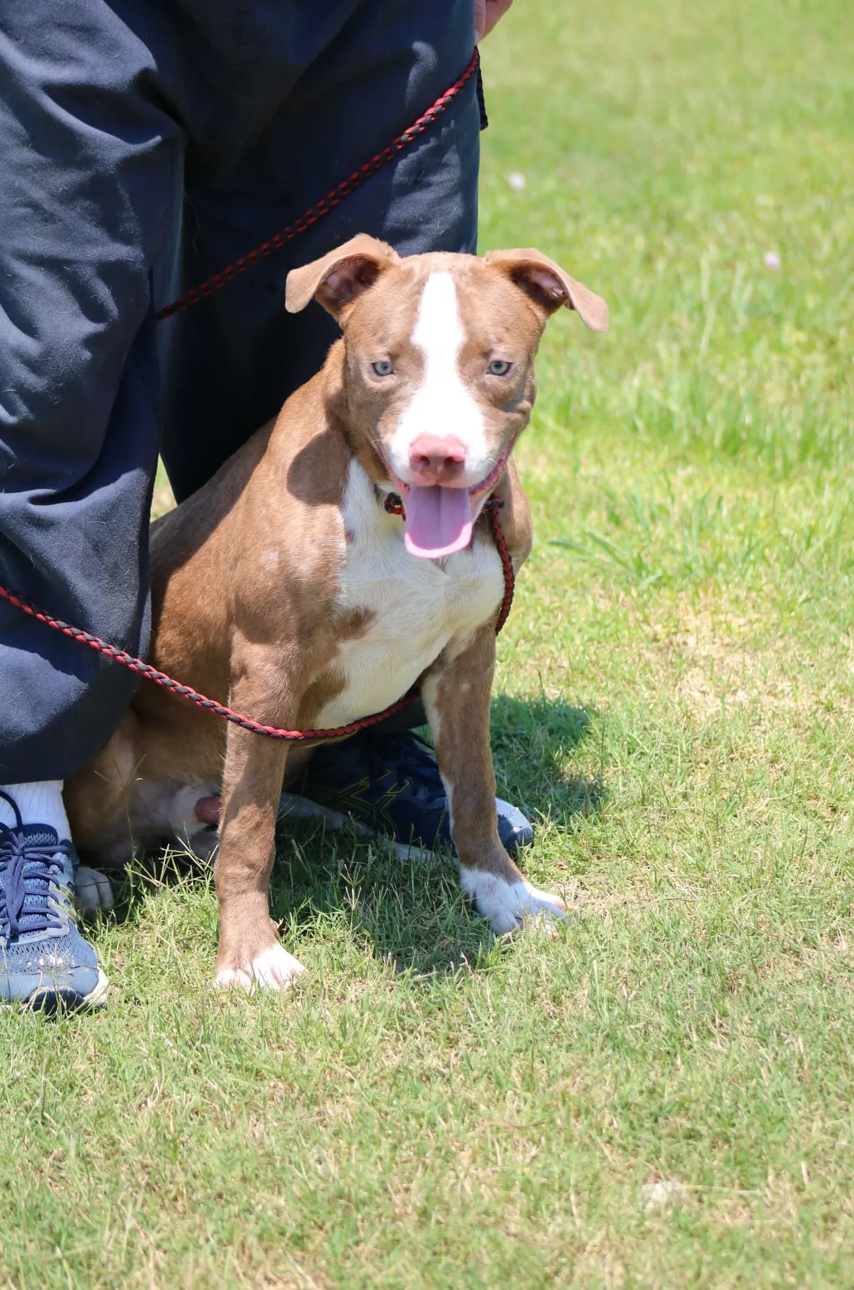 194038913 2822997037967782 5220216774352136349 n 1