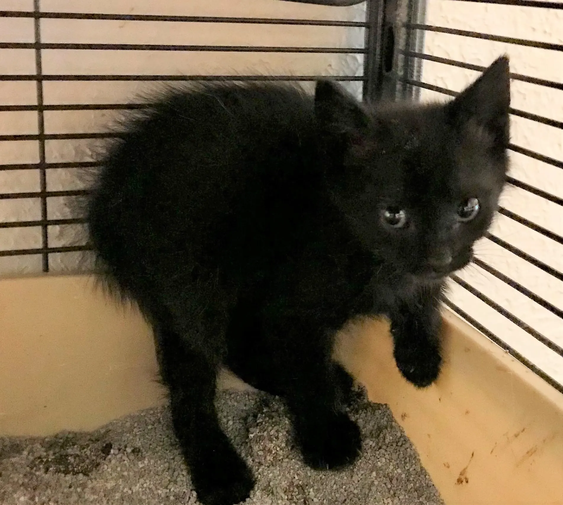 195230872 3911003365677753 4069522293136298436 n