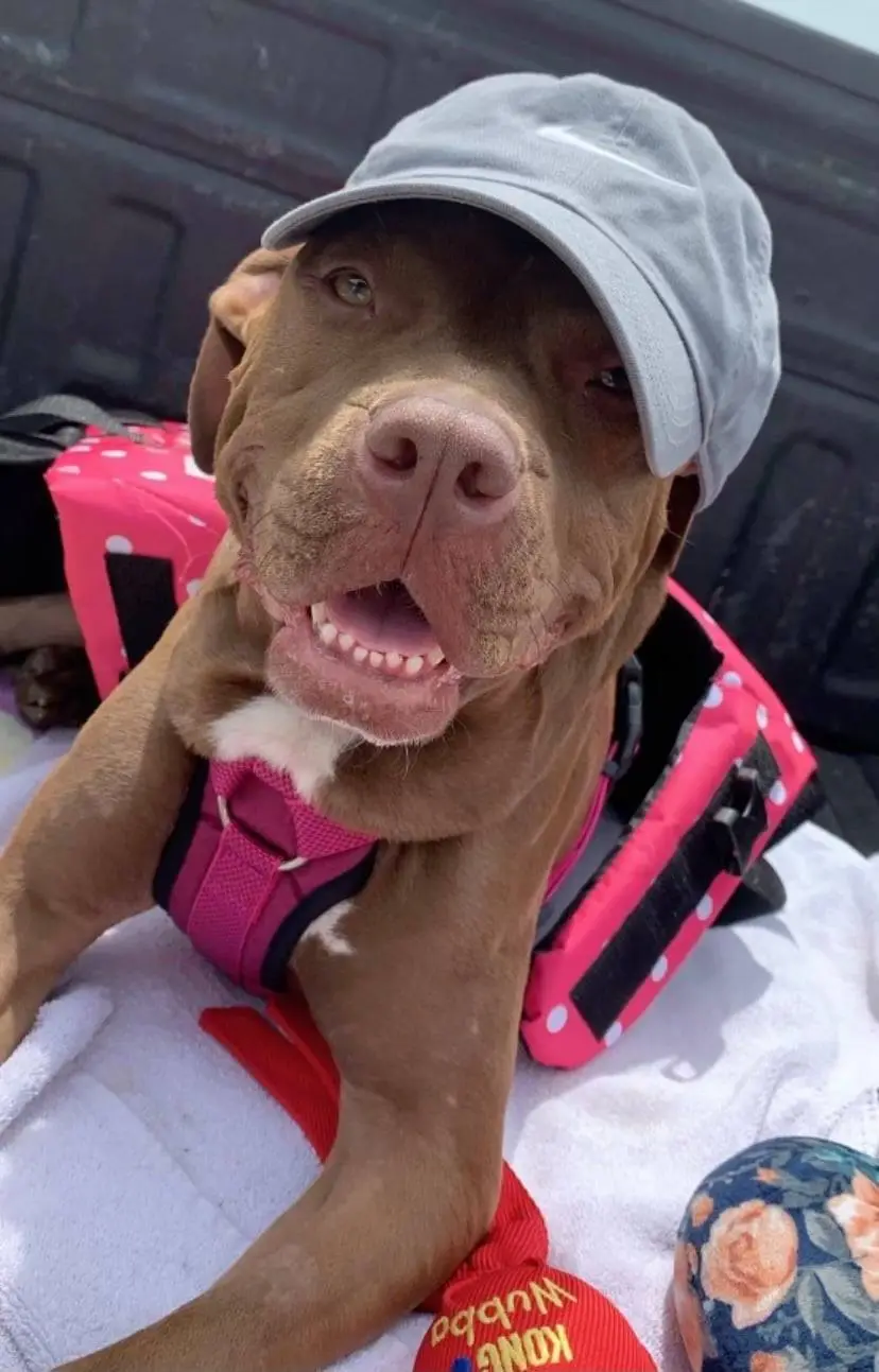 195431940 1002254273642444 7160652015758004892 n