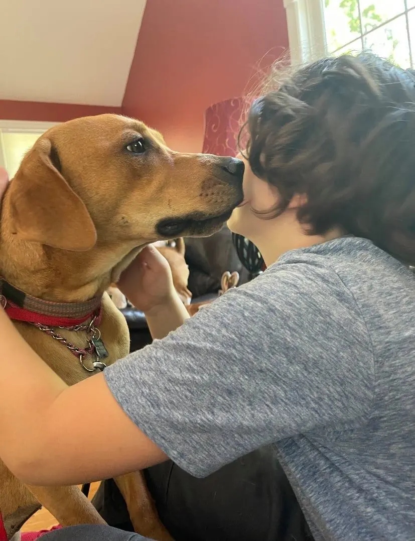 197024846 1005328333335038 431815980387068869 n