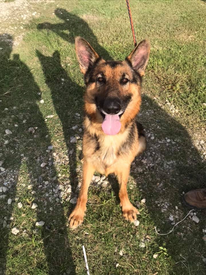 199246740 2817296711871148 6495992247791138791 n