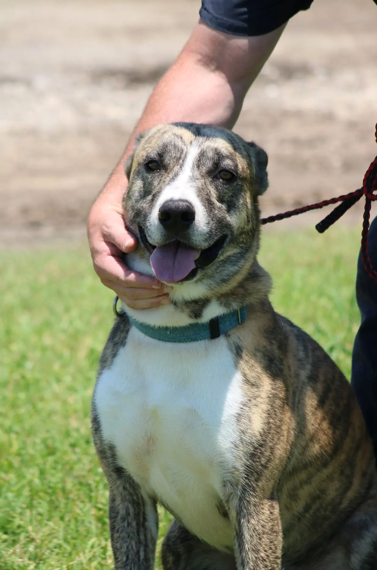 201111509 2822994547968031 4828466965570822911 n 1