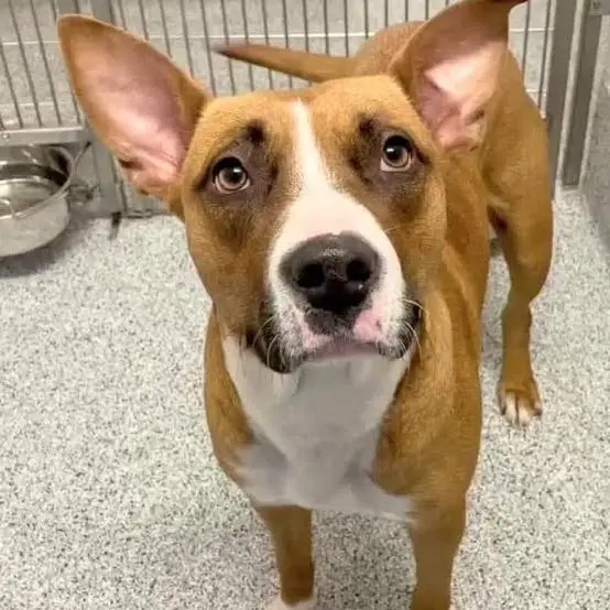 210123636 3864427573666128 1362836599914007163 n