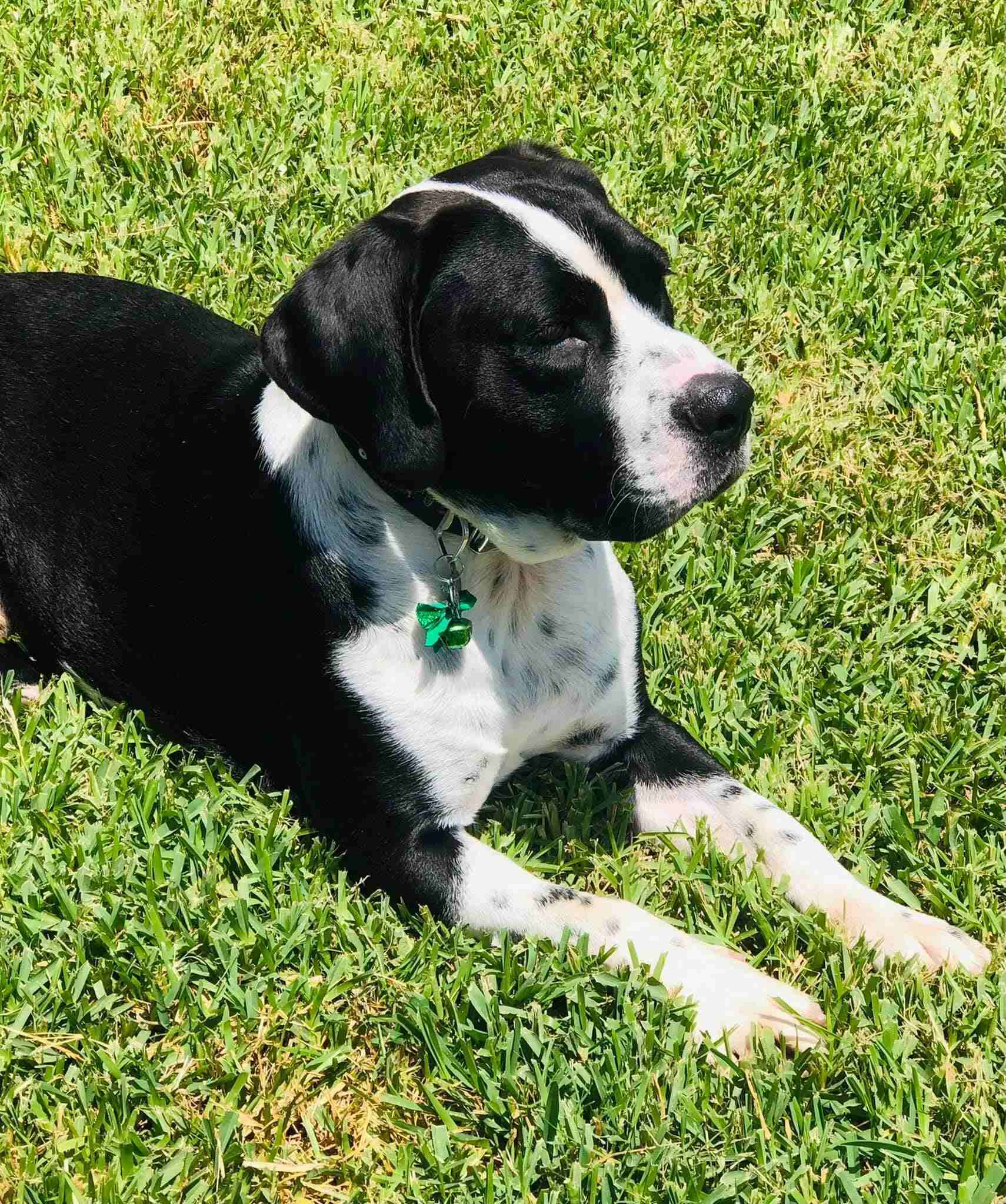 217880617 4821115914569935 5481495077294258536 n