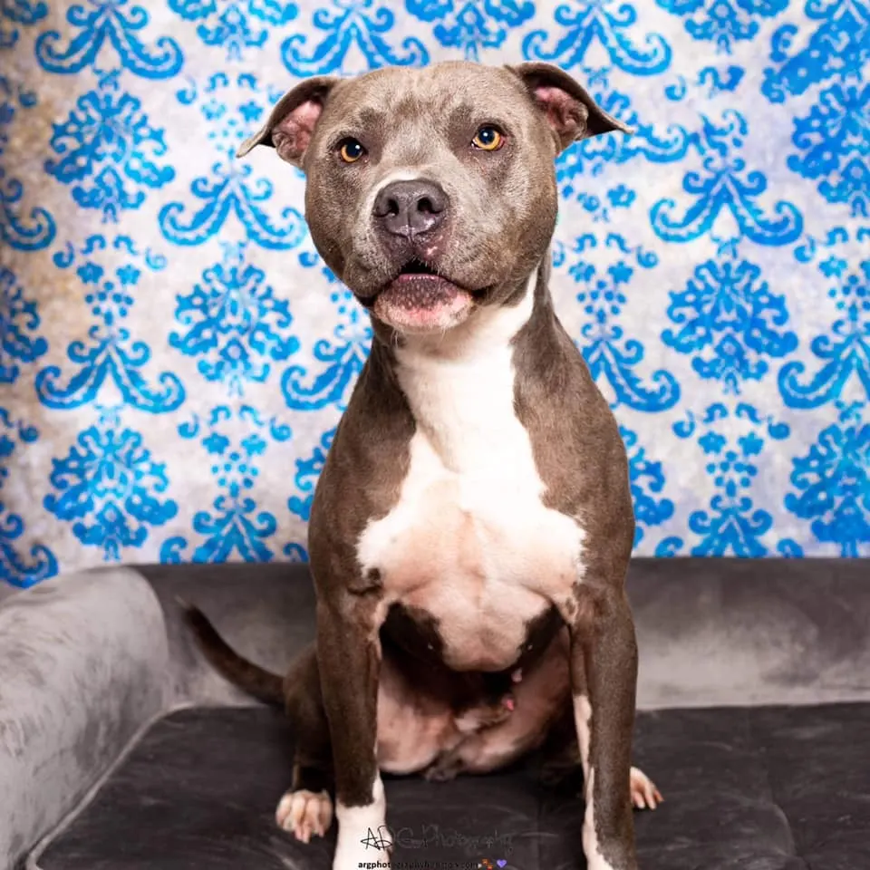 218253962 4821115794569947 6280450631213910818 n