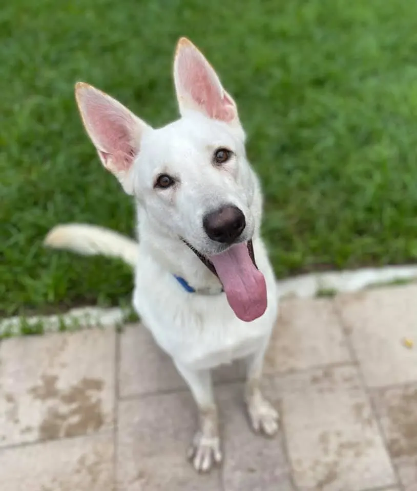 218389376 4821115607903299 1189773411510052855 n