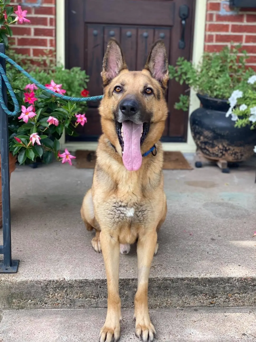 218634153 4821115767903283 8125883407368249229 n