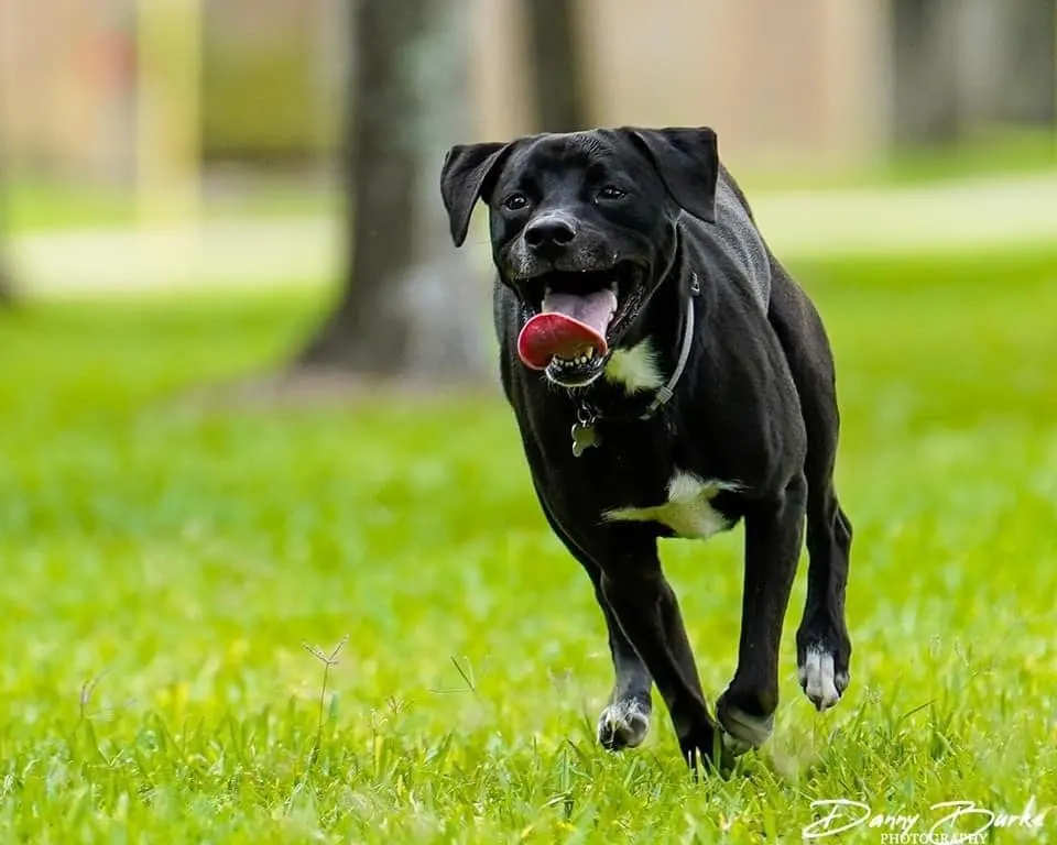 218653101 4821115631236630 7676308670070802511 n