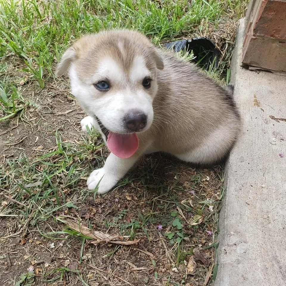 218867578 4821115657903294 3421125087411356446 n