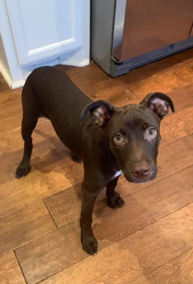 218879361 4821115747903285 5182914181152902794 n