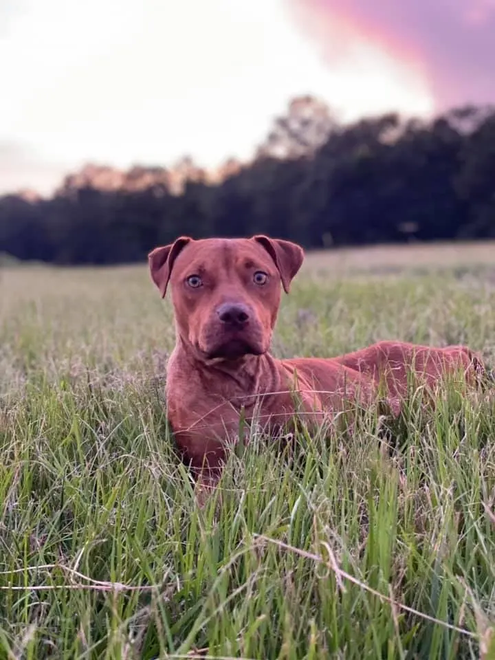 218987631 4821115937903266 3818017573271666147 n