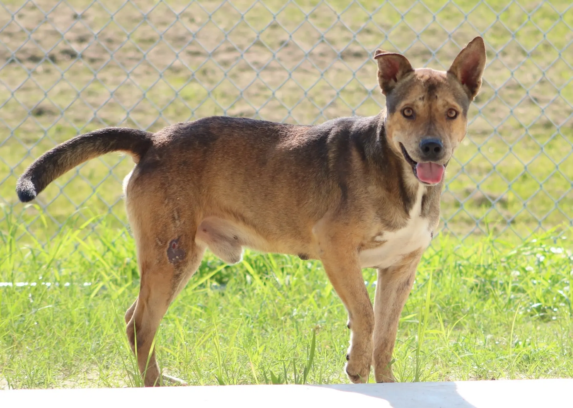 225120301 2851784061755746 1401799150805375174 n 1