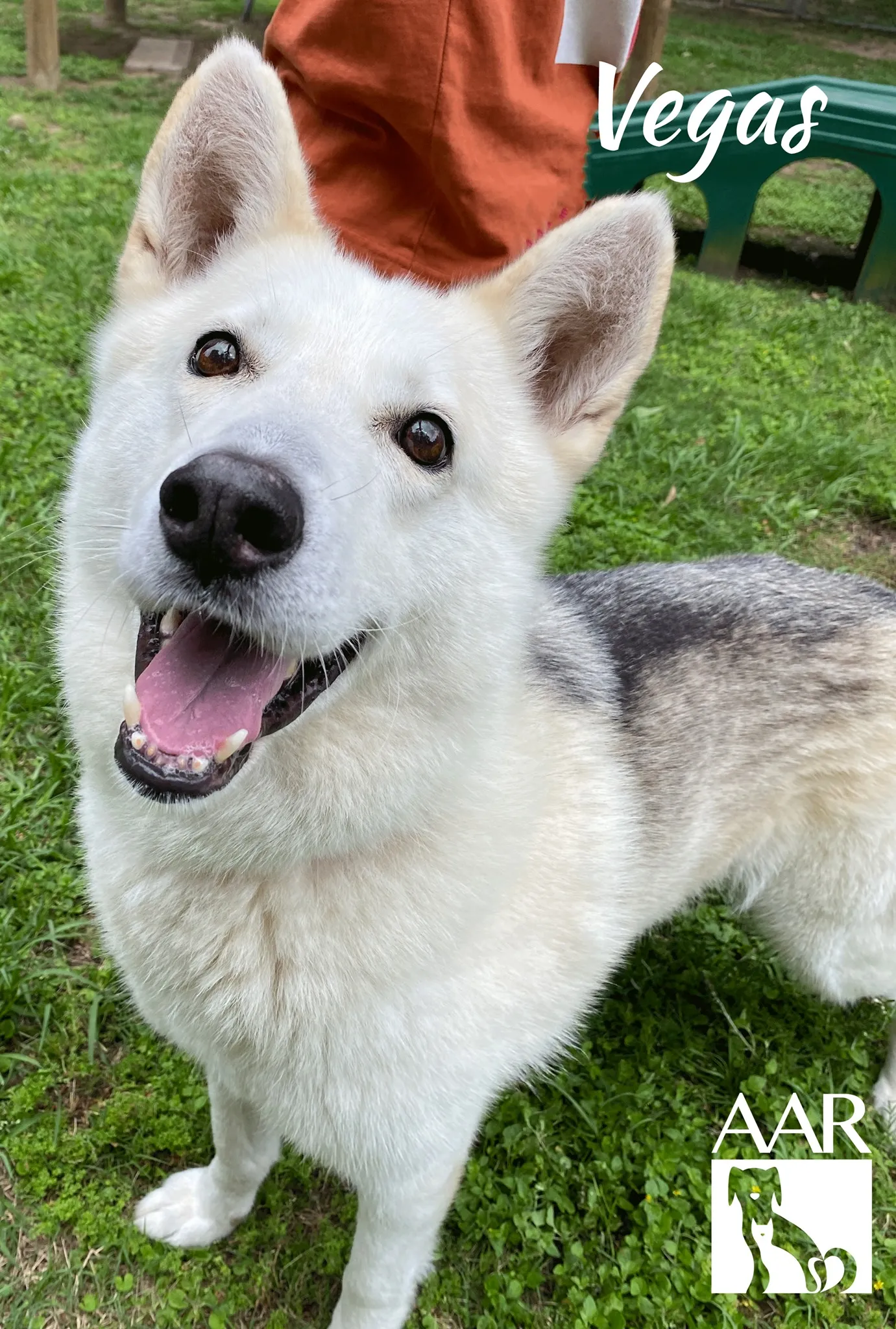 227630221 4765614436801870 5421820581282055405 n