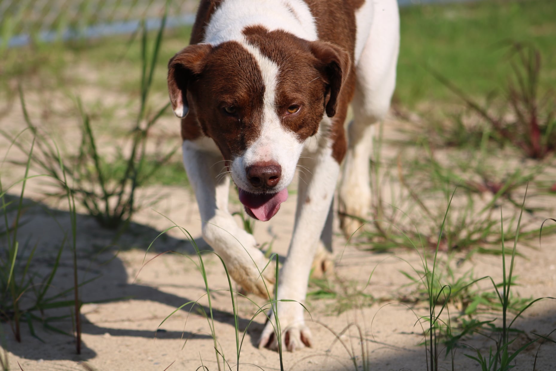 228517228 2851782688422550 8697531618208285355 n 1