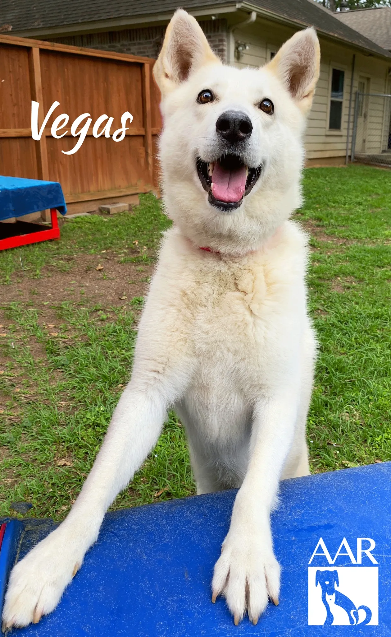 234080153 4784373271592653 8556680458371766462 n