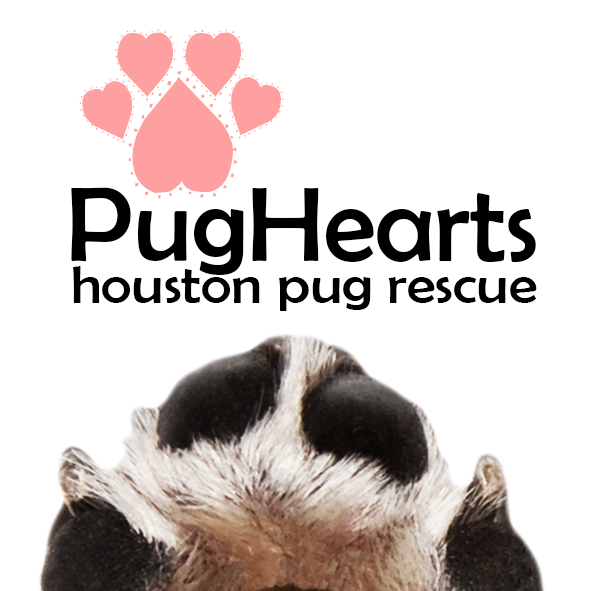 36333480 214339302727117 2870281074313789440 n