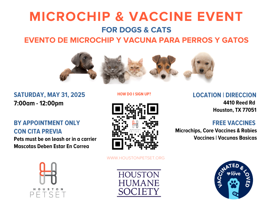 5.31.25 Sunnyside (1)