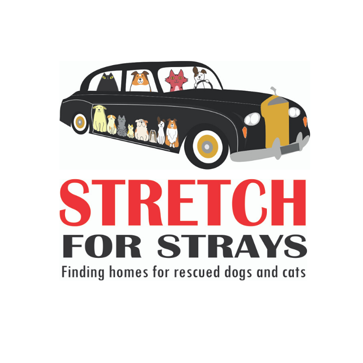 75640665 622711028263439 1330971602950553600 n