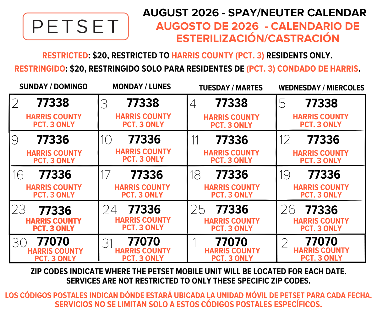 AUG 2026 English Spanish