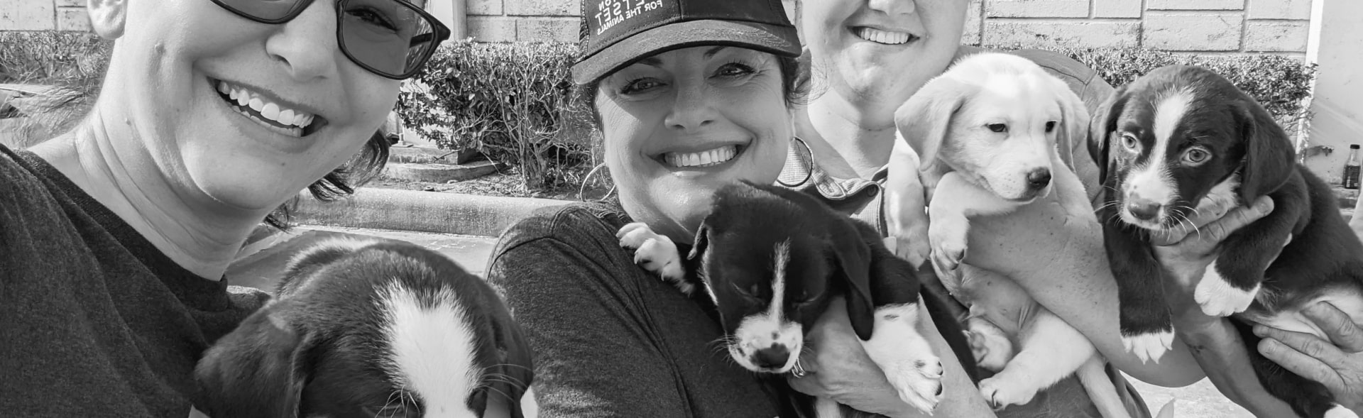 About Houston PetSet