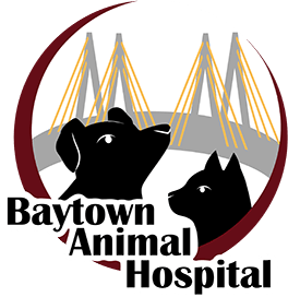Baytown Animal Hospital Baytown Animal Hospital