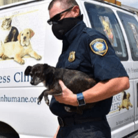 Chron article for website