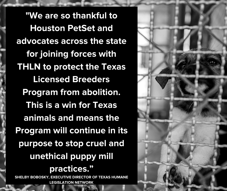 Copy of Puppy mill header 2