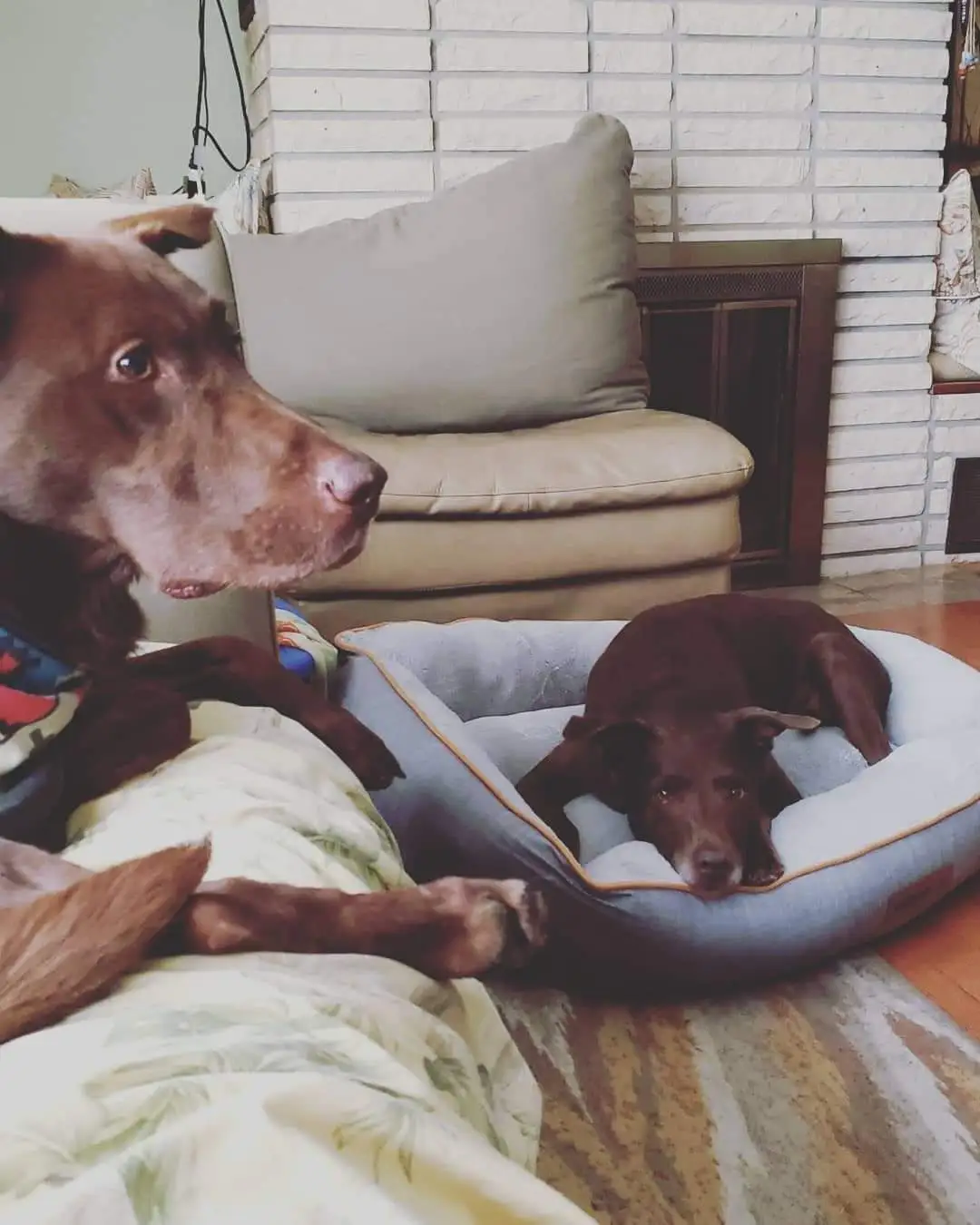 FB IMG 1597544302187