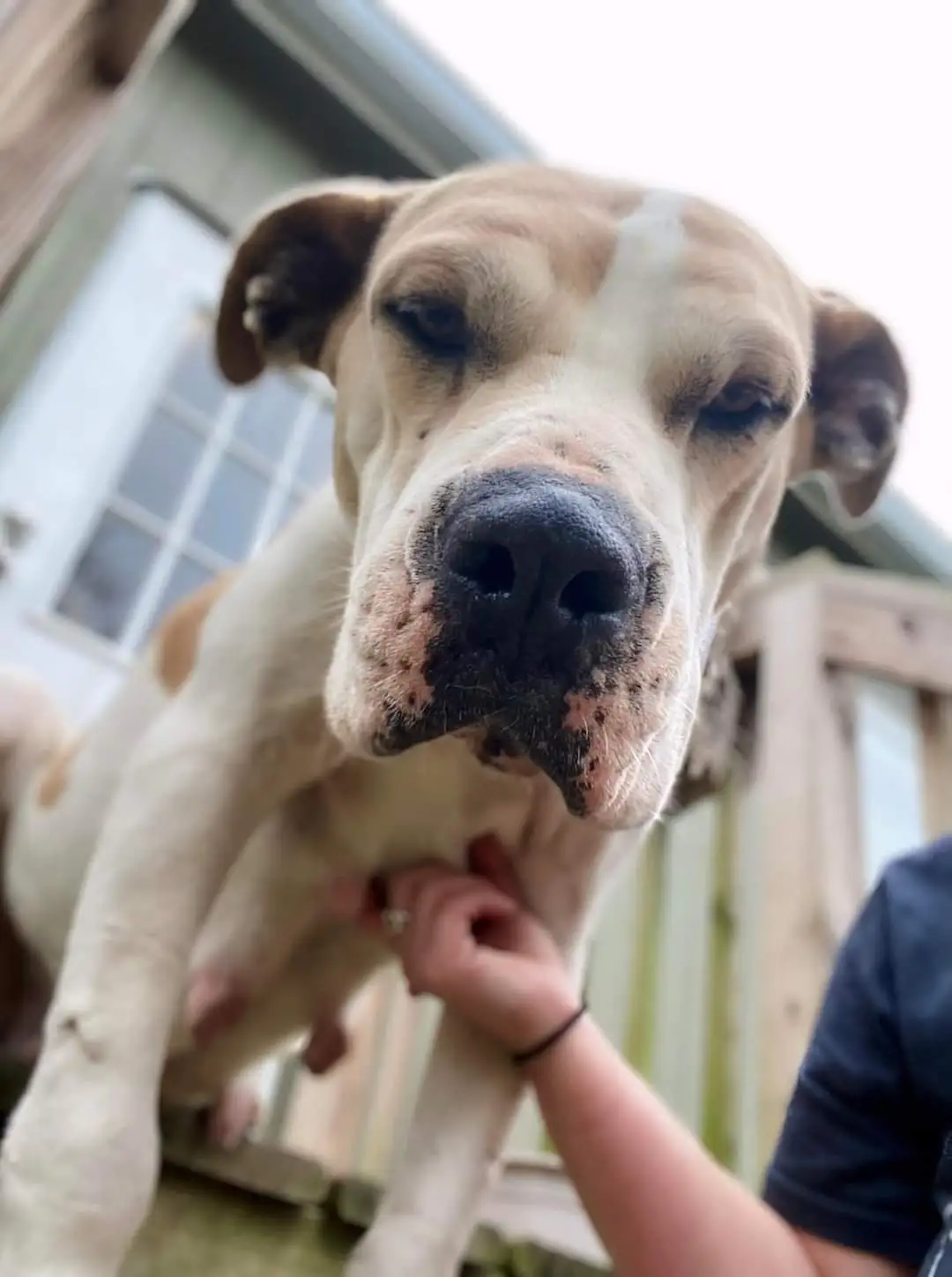 FB IMG 1641227114229 1